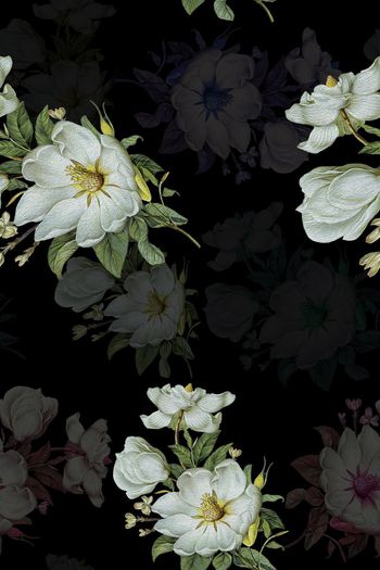 724577-1017油画牡丹02