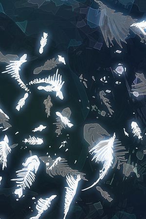 浮游生物印花华亿平台图片