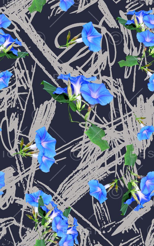 喇叭花印花华亿平台图片