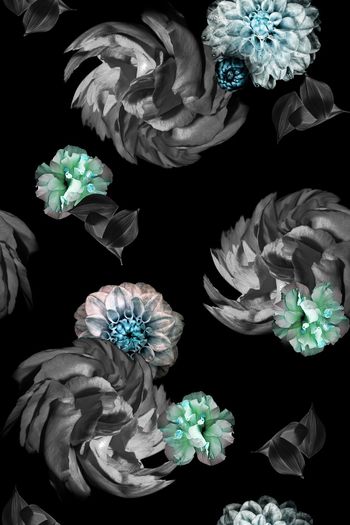 724857-大花背景花朵-1