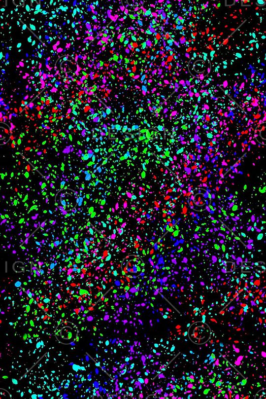 箱包印花华亿平台图片