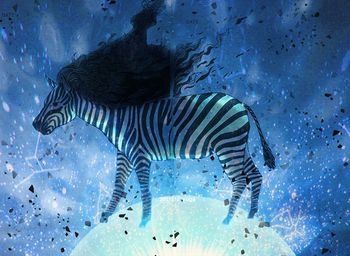 马印花华亿平台图片