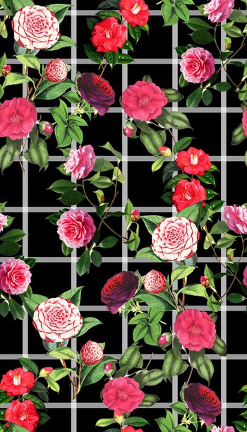 条纹几何印花华亿平台图片