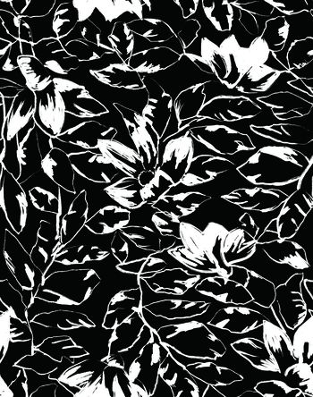 725052-水墨画抽象花卉B