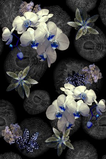 725073-海洋生物底纹蝴蝶乱花-1