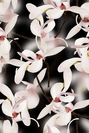 抽象手绘水彩画3D花卉数码印花印花华亿平台图片