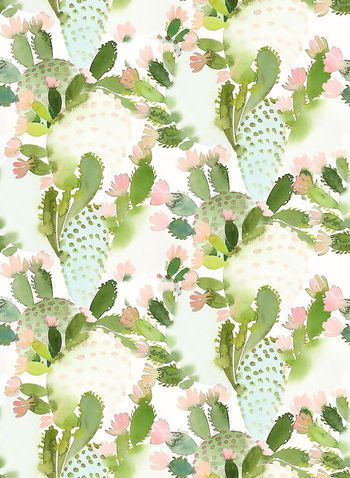 725402-热带仙人掌A