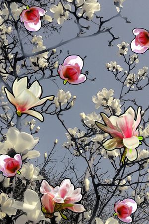 民族风印花华亿平台图片