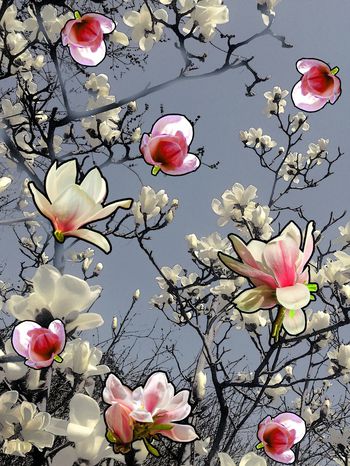 725516-水墨玉兰独幅-1