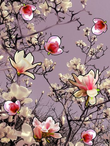 725517-水墨玉兰独幅