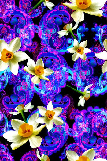 725528-炫彩嘉年华