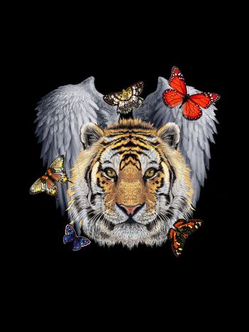 蝴蝶印花华亿平台图片