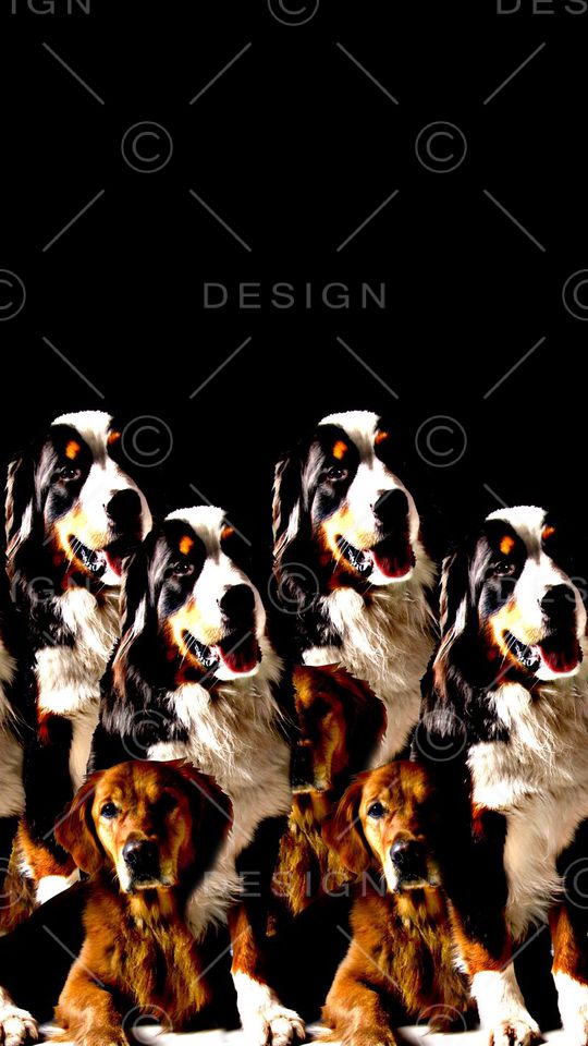 抽象手绘动物纹理斑点狗狗数码印花印花华亿平台图片