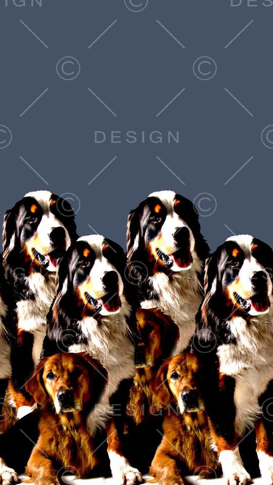 抽象手绘动物纹理斑点狗狗数码印花印花华亿平台图片