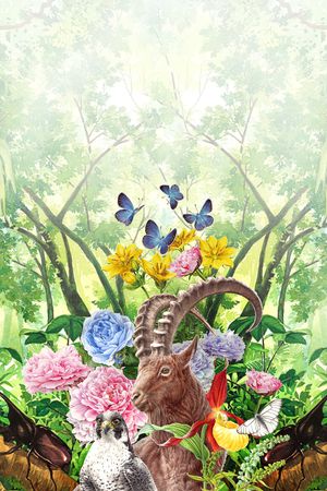 动物印花华亿平台图片