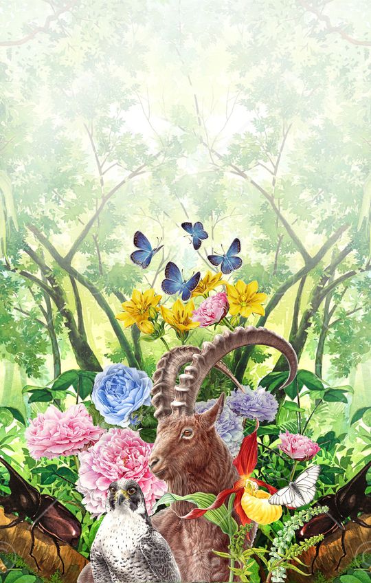 动物印花华亿平台图片