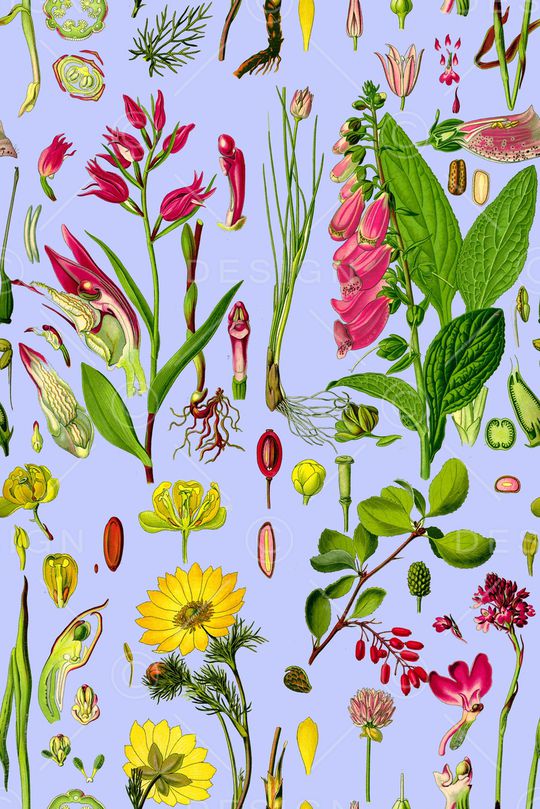 叶子印花华亿平台图片