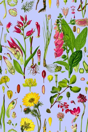 叶子印花华亿平台图片