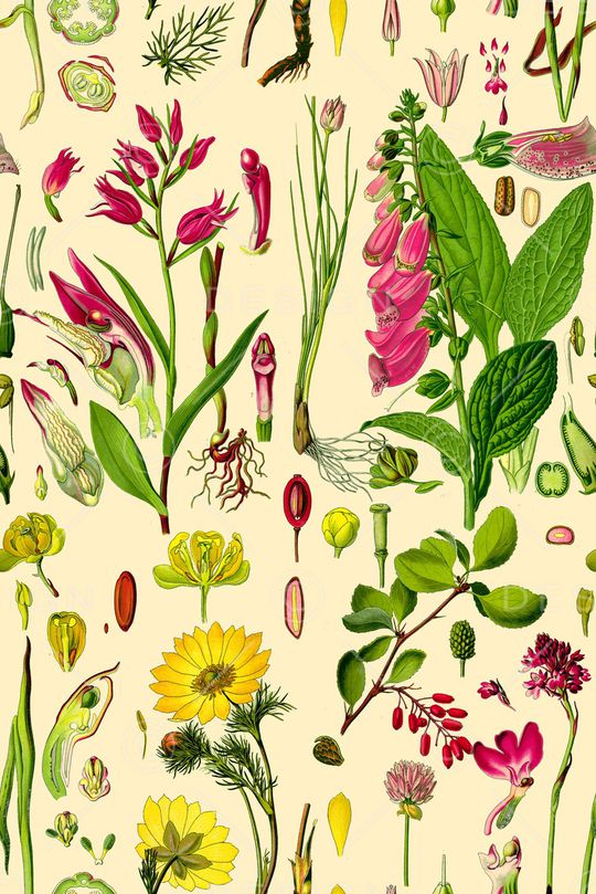 叶子印花华亿平台图片