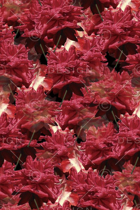 花朵印花华亿平台图片