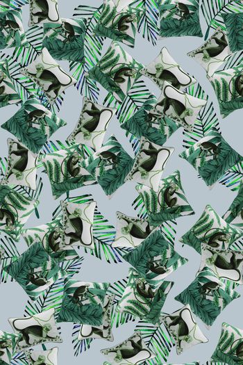 726263-热带宗树林猴子白