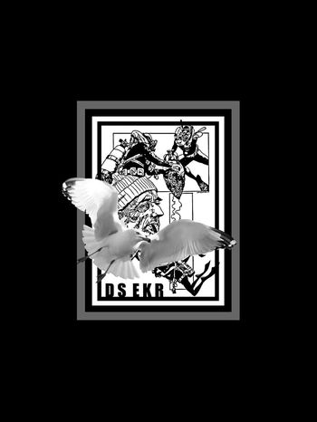 老人与鸟印花华亿平台图片