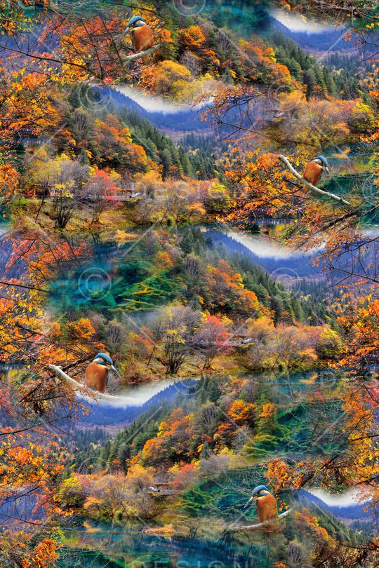 风景印花华亿平台图片