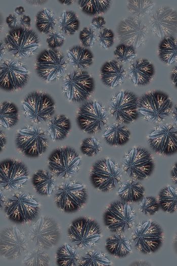 726414-160924-nzhh-5-1