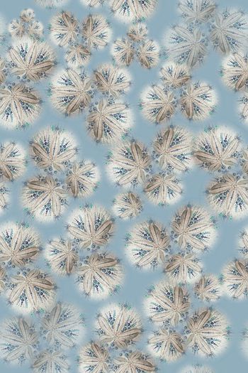 726415-160924-nzhh-5-2