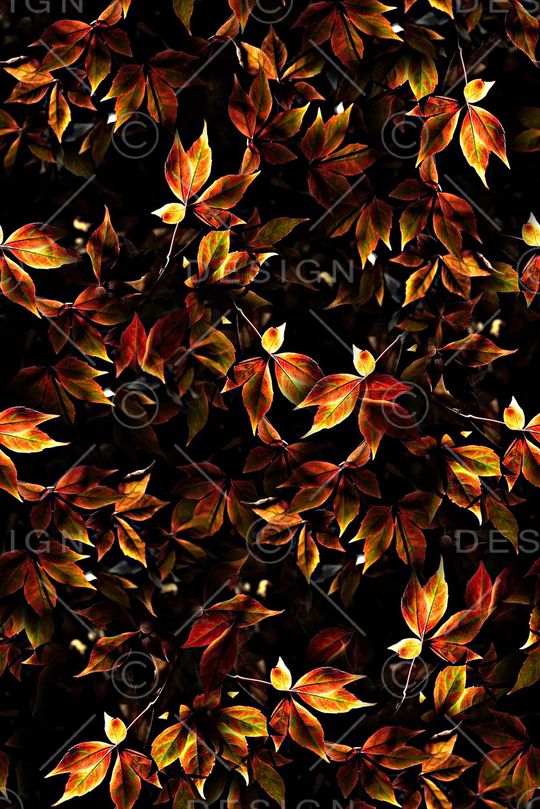 抽象手绘水彩画植物树叶数码印花印花华亿平台图片