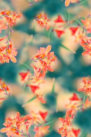 抽象手绘水彩画植物树叶数码印花印花华亿平台图片