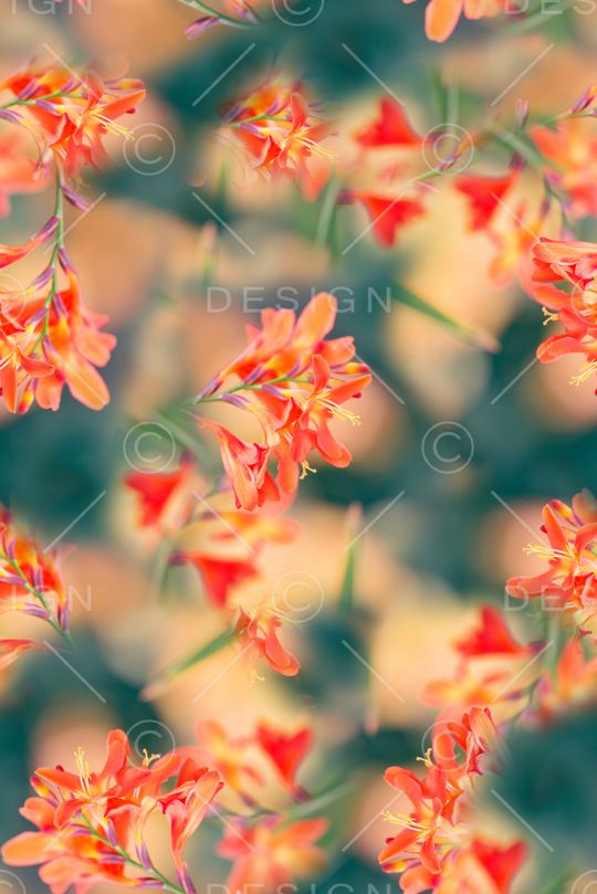 抽象手绘水彩画植物树叶数码印花印花华亿平台图片