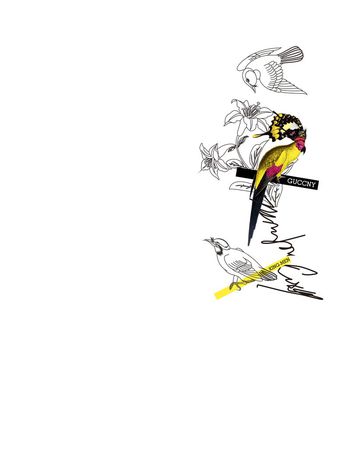 726518-838816102101b