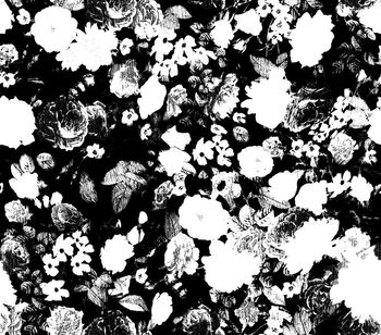 726637-几何复古玫瑰花卉C