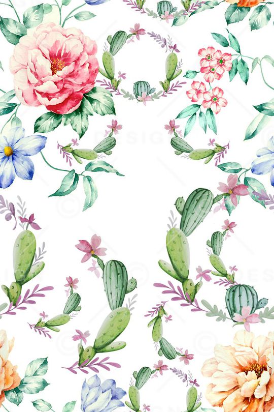 多肉植物印花华亿平台图片