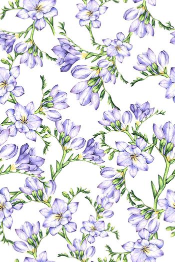 726858-FLZ-10-75......