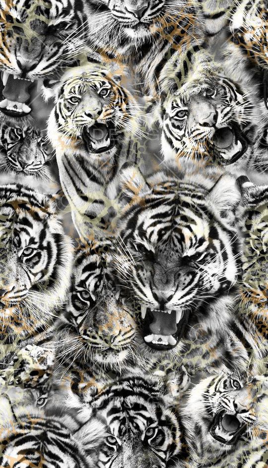 创意时尚动物纹印花华亿平台图片