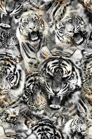 创意时尚动物纹印花华亿平台图片