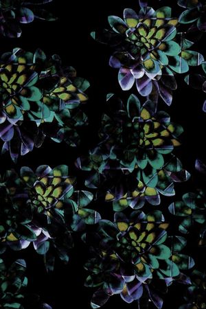 夹克外套印花华亿平台图片