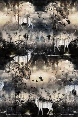 黄昏下的森林印花华亿平台图片