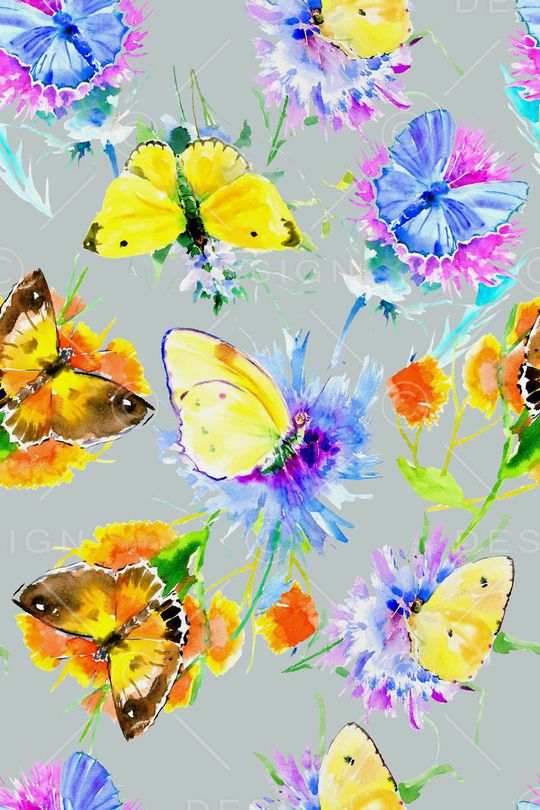 蝴蝶印花华亿平台图片