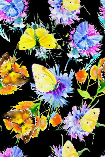 727013-2016-10-21蝴蝶花卉3