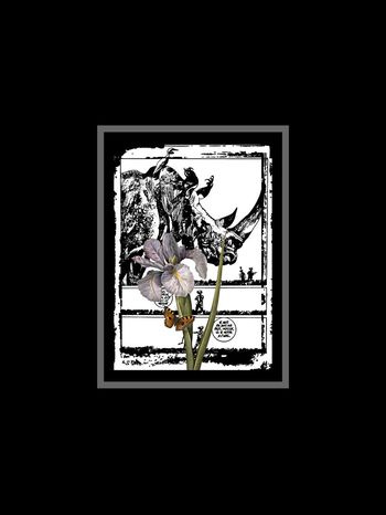 动物印花华亿平台图片