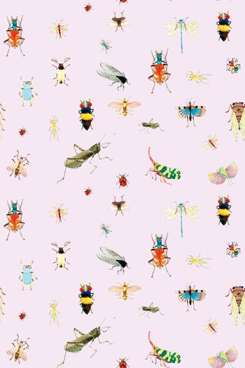 727102-抽象 昆虫 10128b