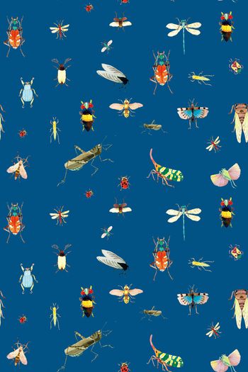 727104-抽象 昆虫 10128d