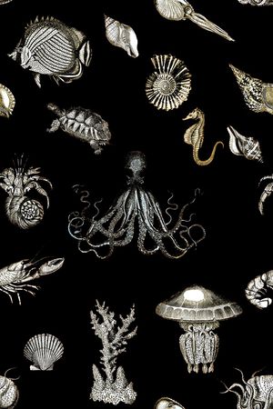 抽象手绘水彩画海洋动物印花印花华亿平台图片