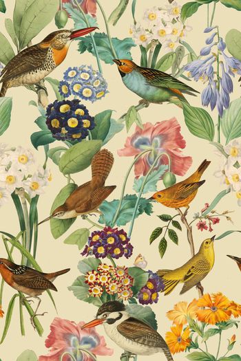 女装印花华亿平台图片