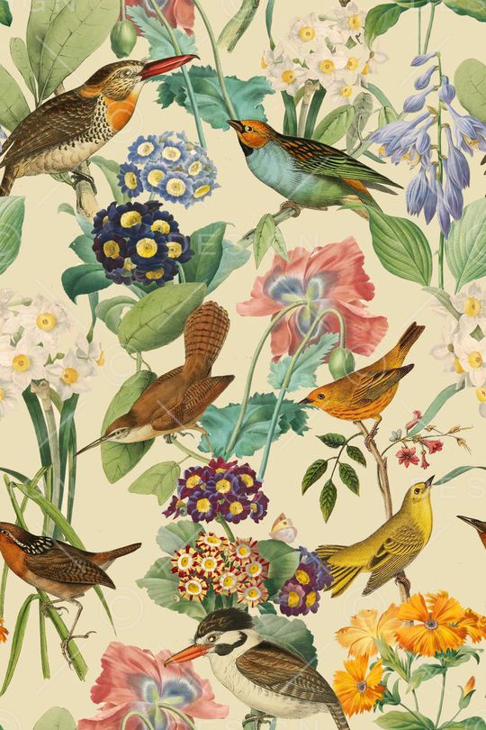 女装印花华亿平台图片