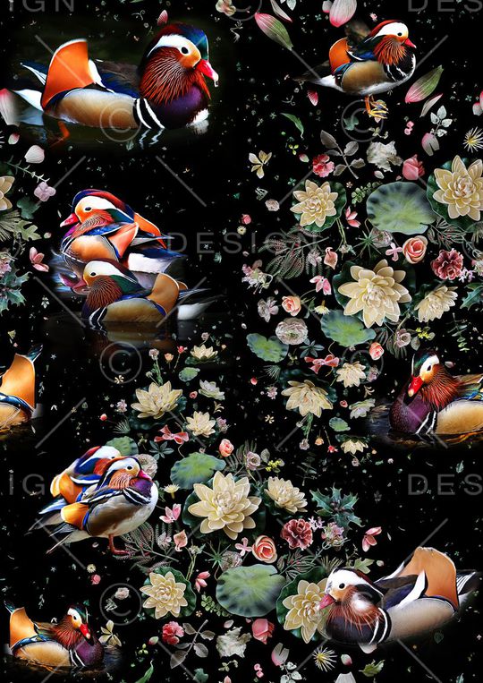 鸳鸯戏荷印花华亿平台图片