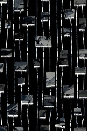 Fei-男装印花华亿平台图片